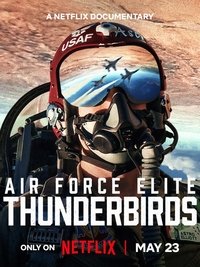 Download Air Force Elite Thunderbirds MoviesMod 1
