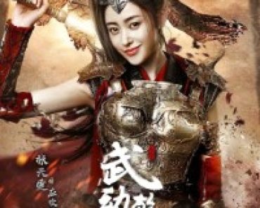 Download Martial Universe (Season 1 – 2) Chinese Series {Hindi ORG Dubbed} 720p WeB-DL [300MB]