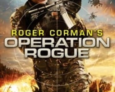 Download Operation Rogue (2014) Dual Audio {Hindi-English} Esubs WEB-DL 480p [289MB] || 720p [1.1GB]