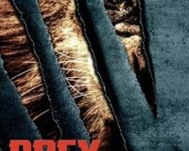 Download Prey (2016) Dual Audio (Hindi-English) 480p [300MB] || 720p [850MB] || 1080p [1.93GB]