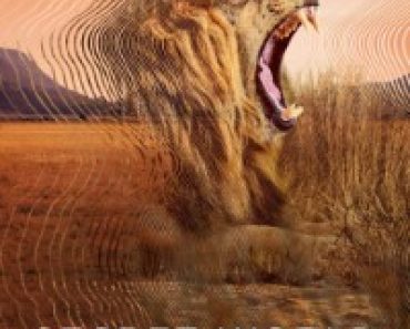 Download Secret World of Sound with David Attenborough (Season 1) Dual Audio {Hindi-English} WeB-DL 720p [400MB] || 1080p [2.1GB]