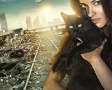 Download The Stray Cat (Season 1) Mexican Series {Hindi Dubbed} 720p HDRiP [280MB]