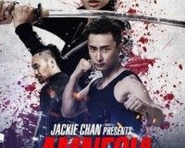 Download Who Am I (2015) Dual Audio (Hindi-English) 480p [300MB] || 720p [800MB] || 1080p [1.5GB]