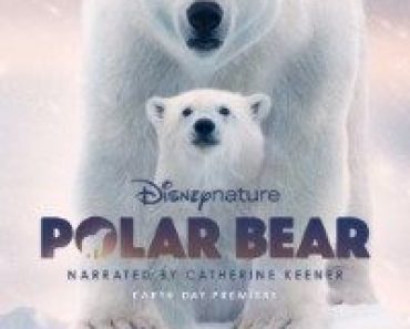 Download Polar Bear (2022) {English With Subtitles} 480p [250MB] || 720p [700MB] || 1080p [2.4GB]