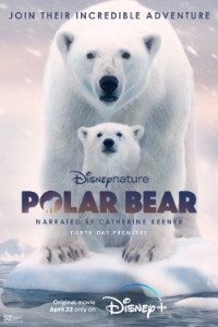 Polar Bear 2022 720p 200x300 1