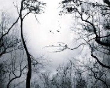 Download Premonition (2007) {English With Subtitles} 480p [400MB] || 720p [850MB]